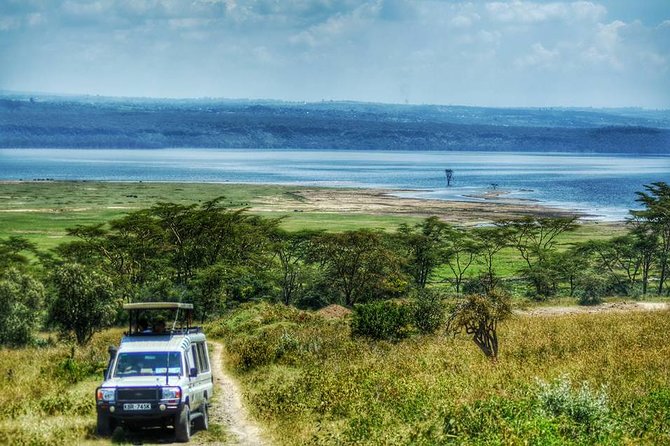 Full-Day Guided Safari Tour of Lake Nakuru National Park