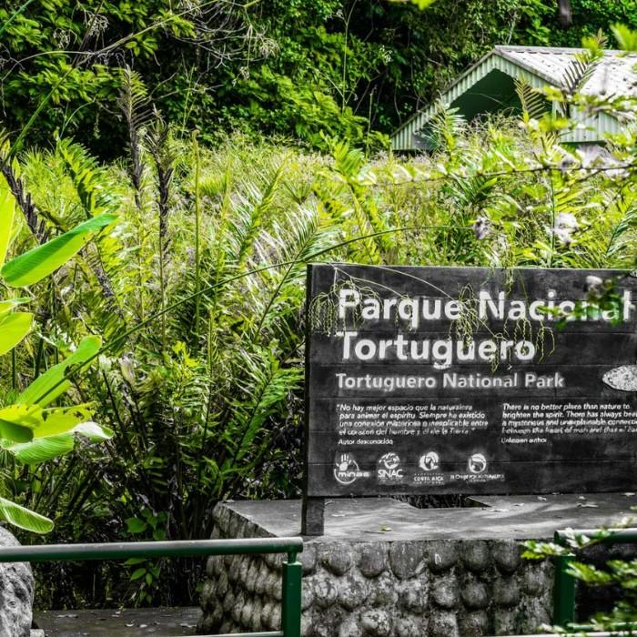 A Closer Look at Tortuguero’s Wildlife