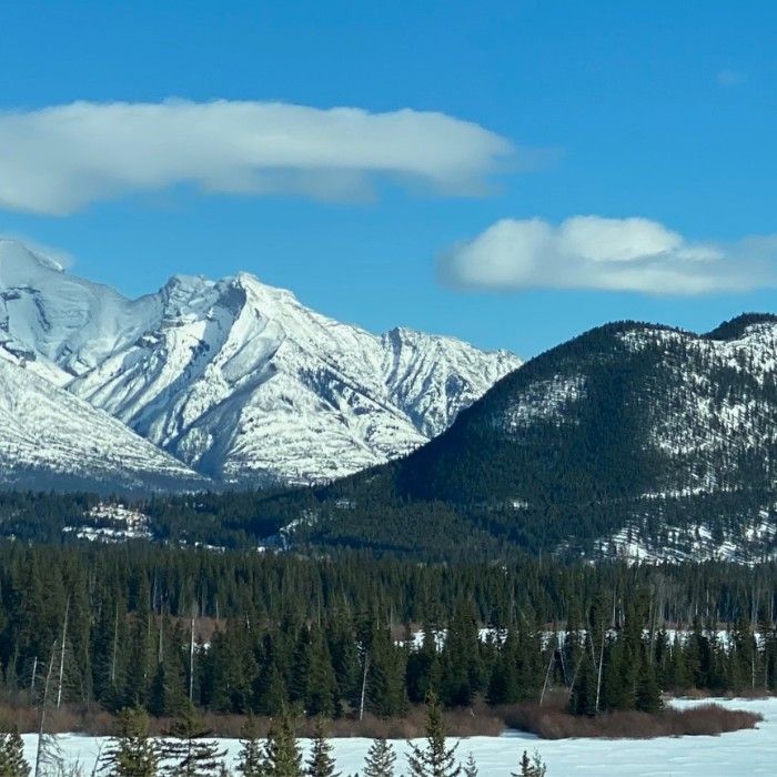Banff & A Sacred Buffalo Story