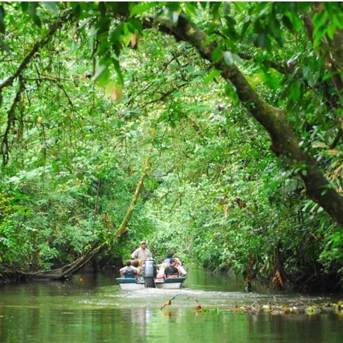 Embracing Tortuguero’s Natural Splendor 