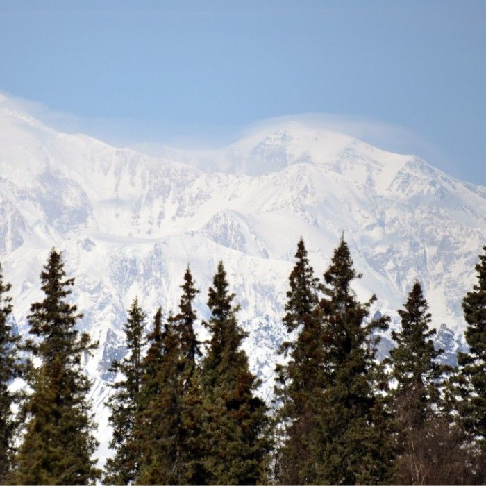 Explore Denali and Venture to Fairbanks