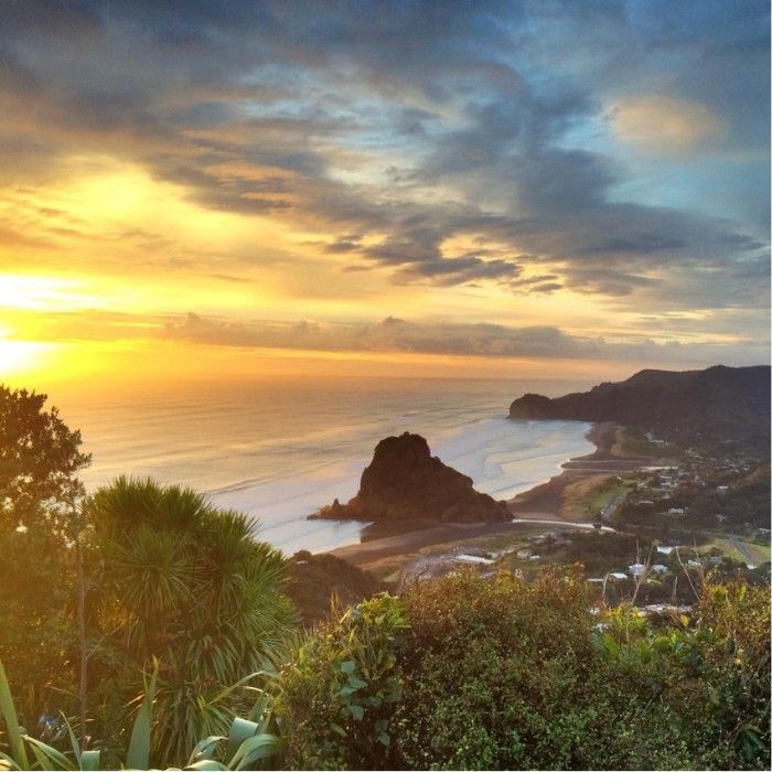 Explore the Sights of Auckland