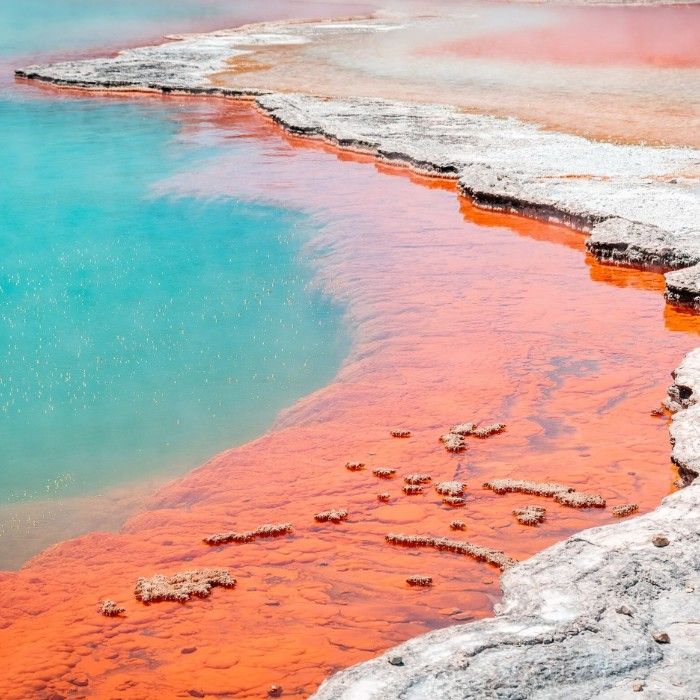 Rotorua's Natural Wonders