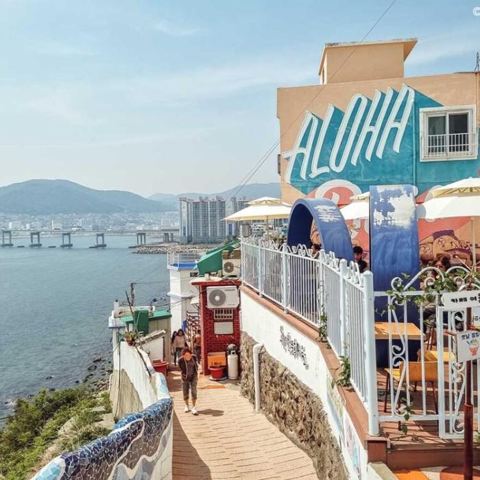 Sea Views, Rice Wine and Markets in Busan