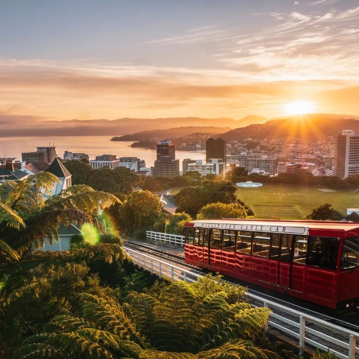 See the Sights of Wellington