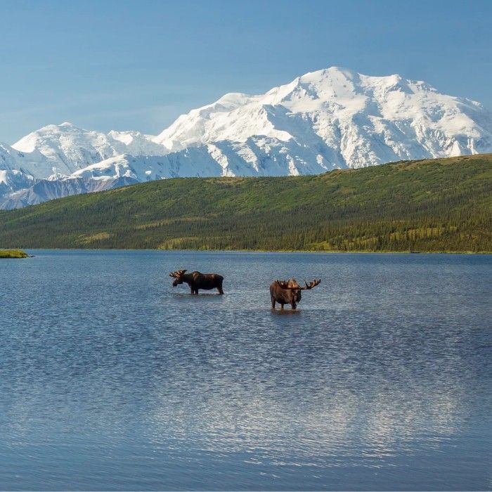 Franz Josef Glacier Region