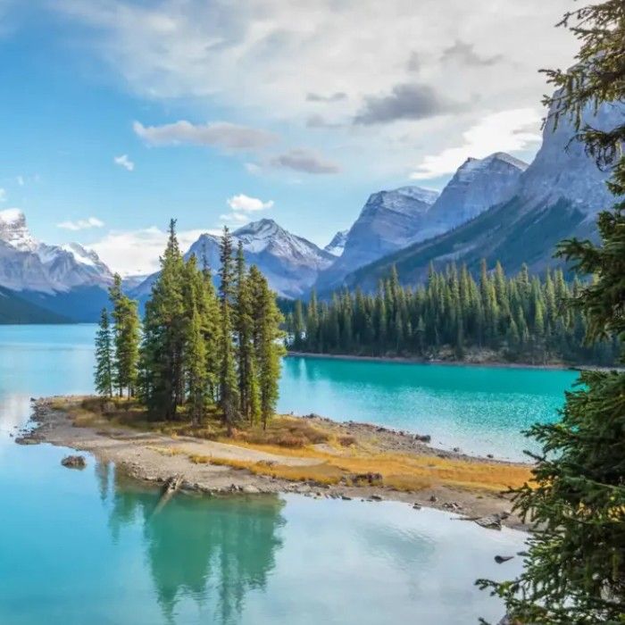 The Rockies Unveiled