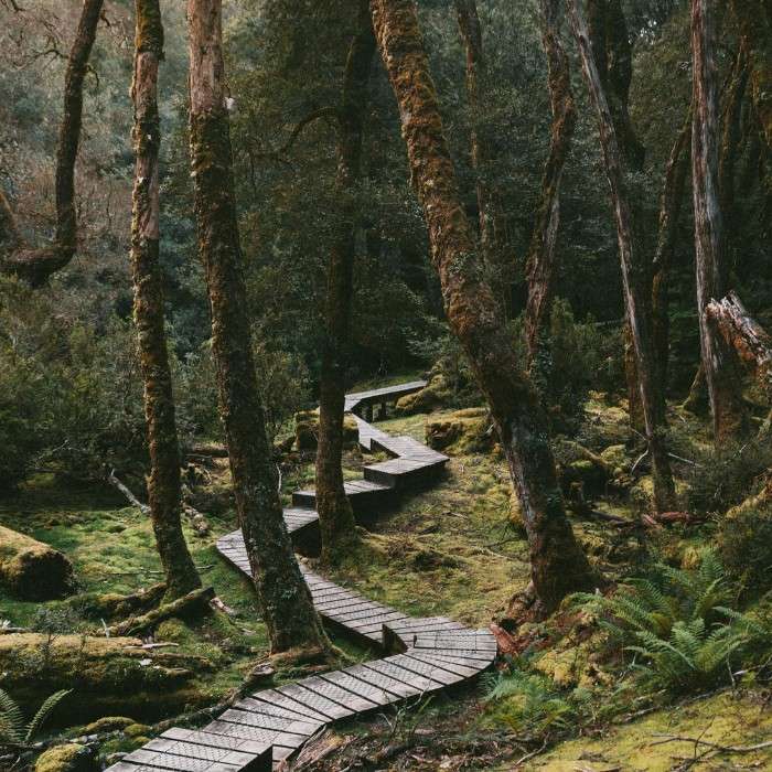 Explore Cradle Mountain