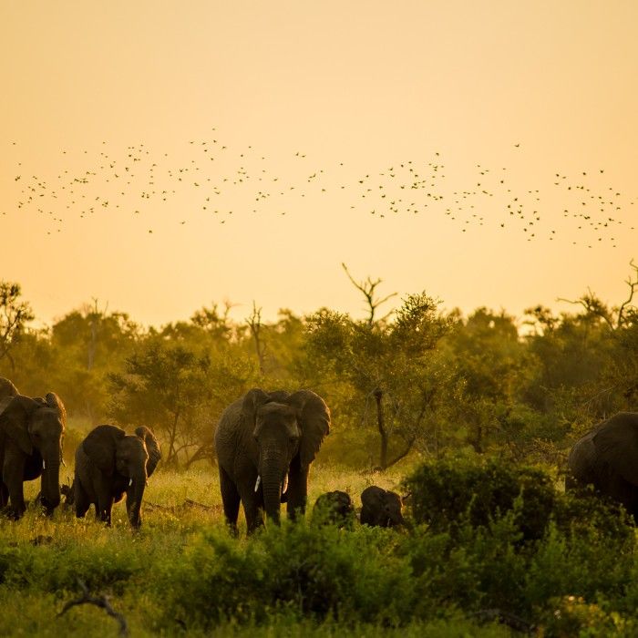 Journey to the Kruger National Park Area