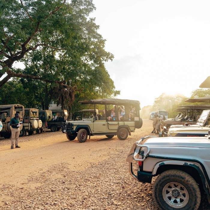 Safari in the Serengeti