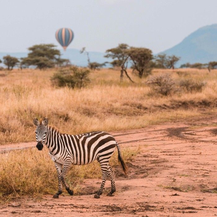 Traverse Tarangire National Park