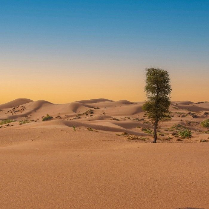 Into the Kalahari Desert