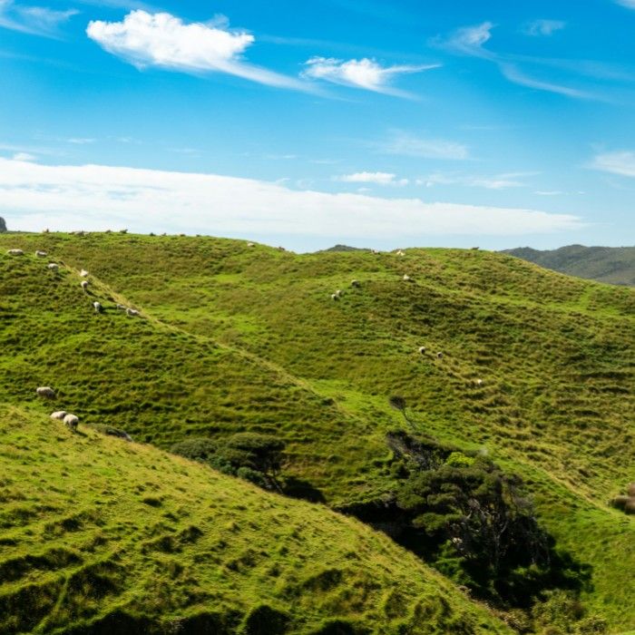Sacred Valley Immersion