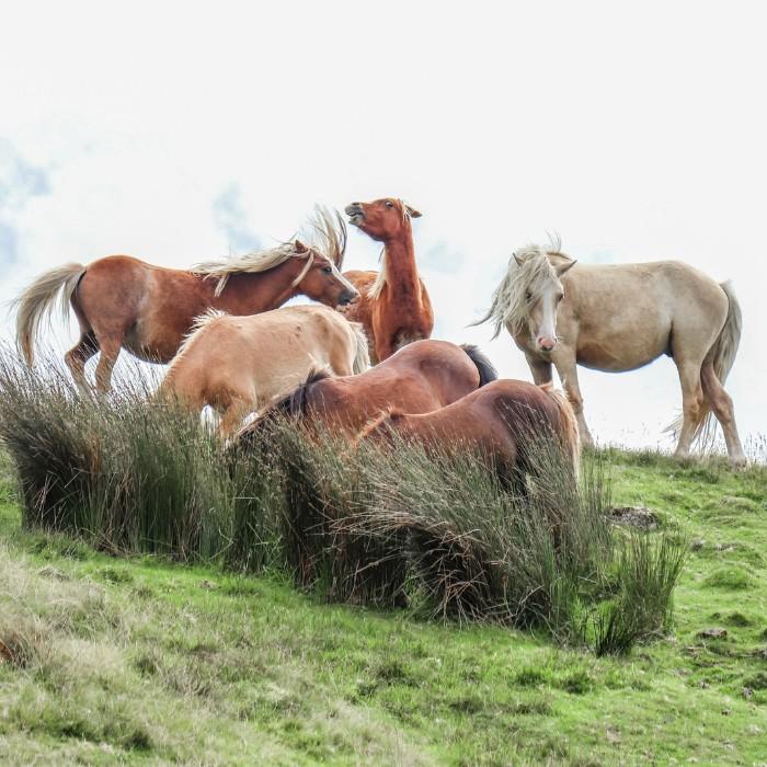 Onwards to Lake Nakuru National Park