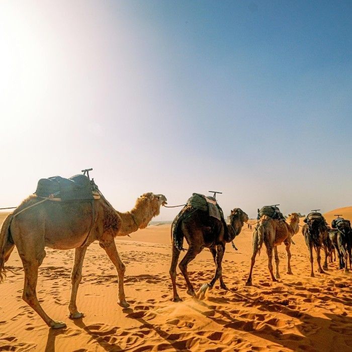 Through the Desert to Solitaire