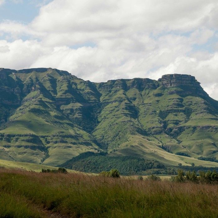 Make Tracks for the Drakensberg Mountains