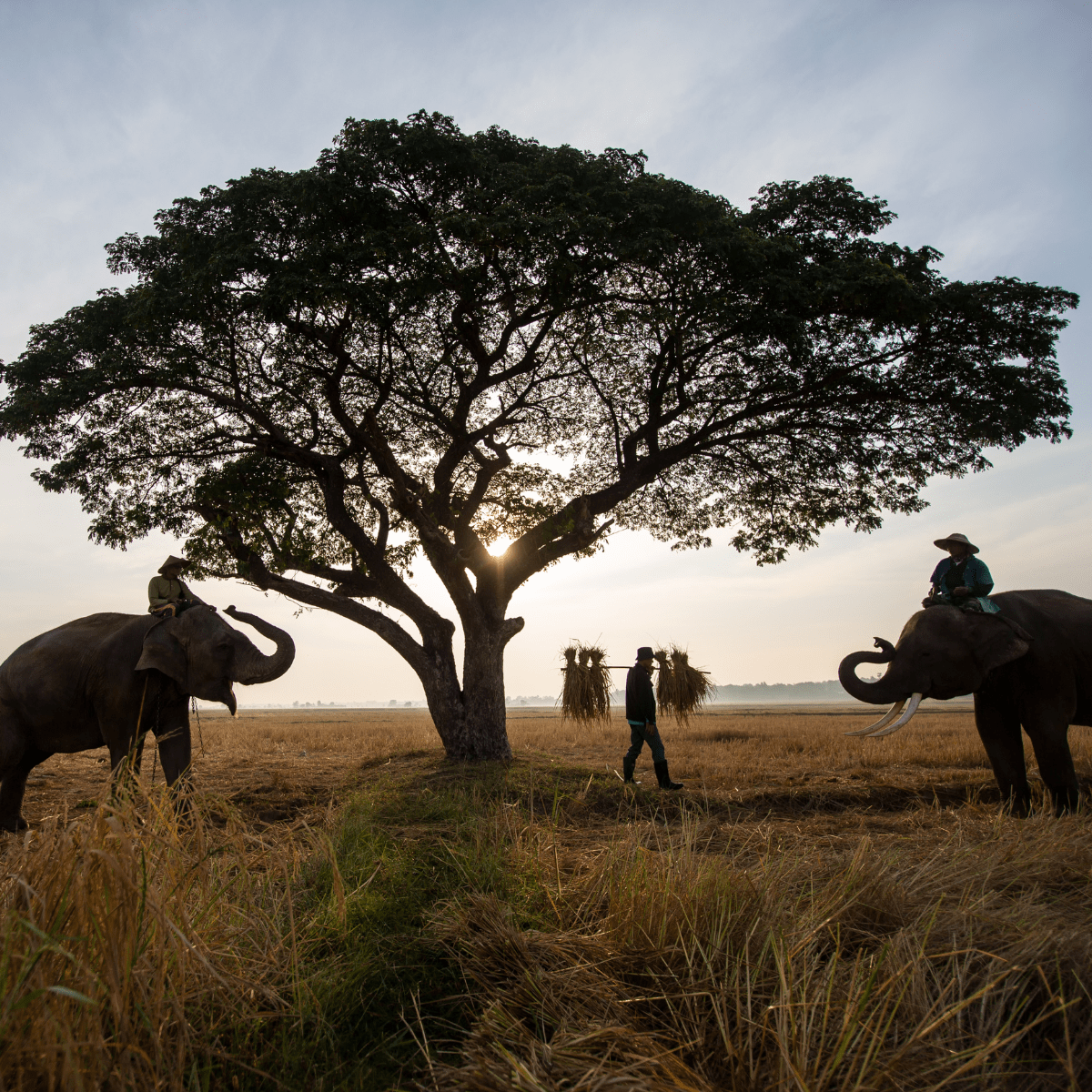 Cusco to Lake Titicaca