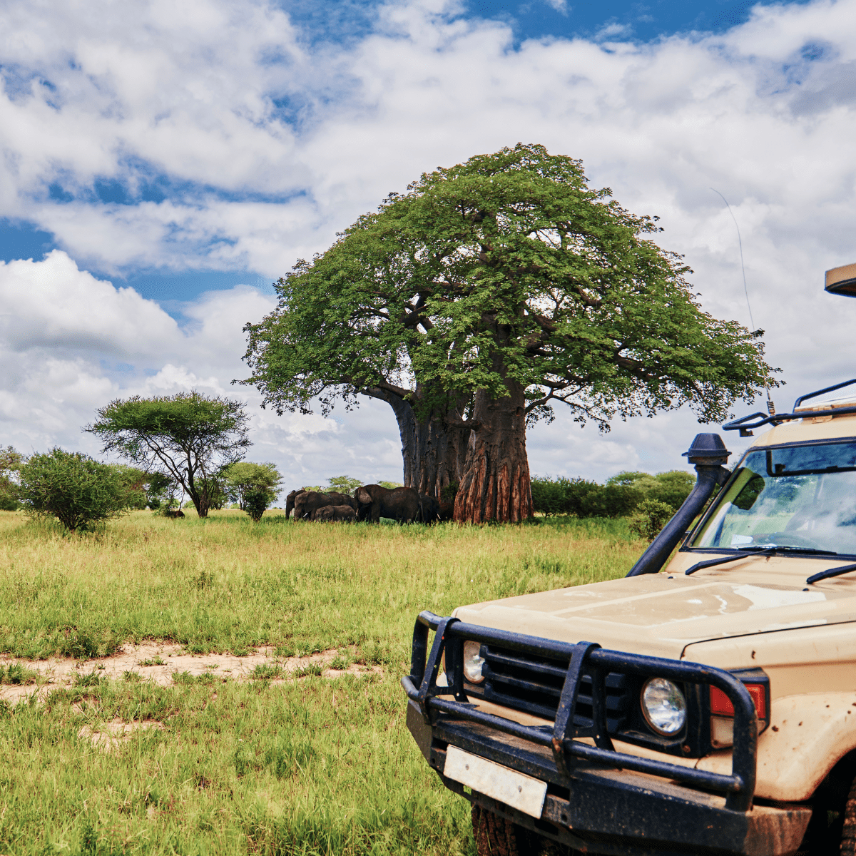 6 Days 5 Nights Dubai Adventure