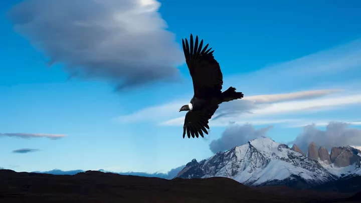 Admire Tierra del Fuego National Park and Continue to Ushuaia