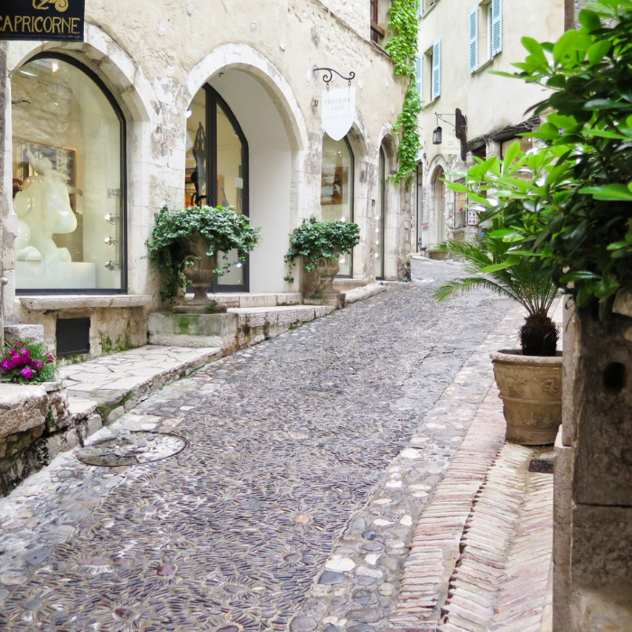 Explore Monaco and Pisa on the Way to Florence