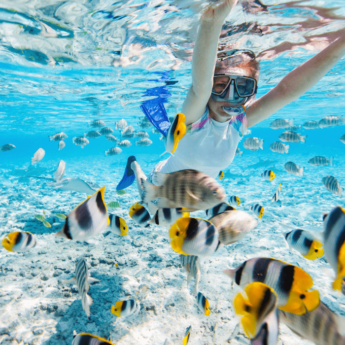 Full-Day Adventure – Sandbanks & Snorkeling