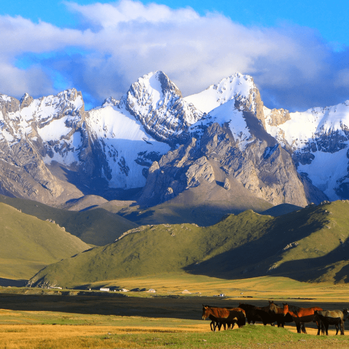 Farewell to Kyrgyzstan