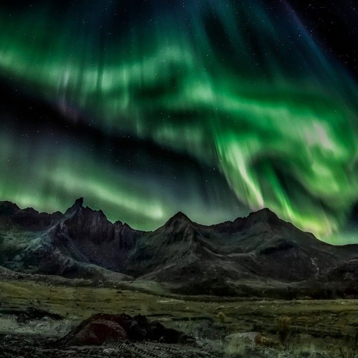 Discover Fairbanks & Aurora Viewing