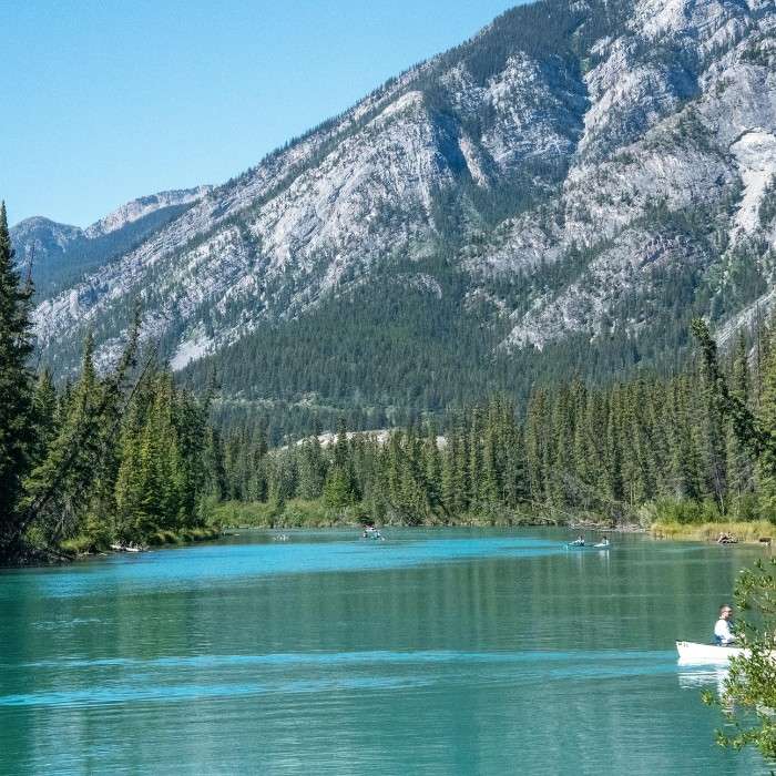 Explore Olympic National Park