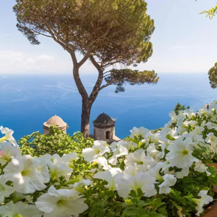 Enjoy the Views in Monreale