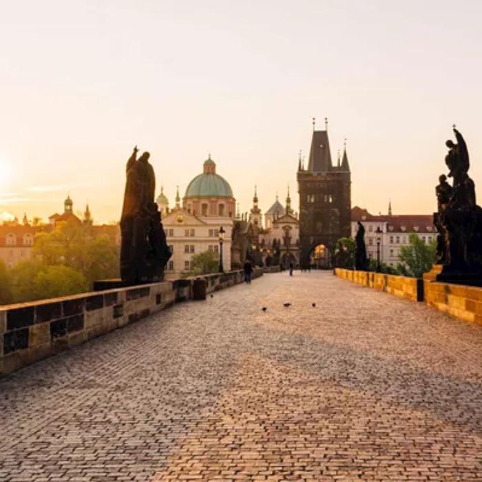 Admire Vibrant Vienna