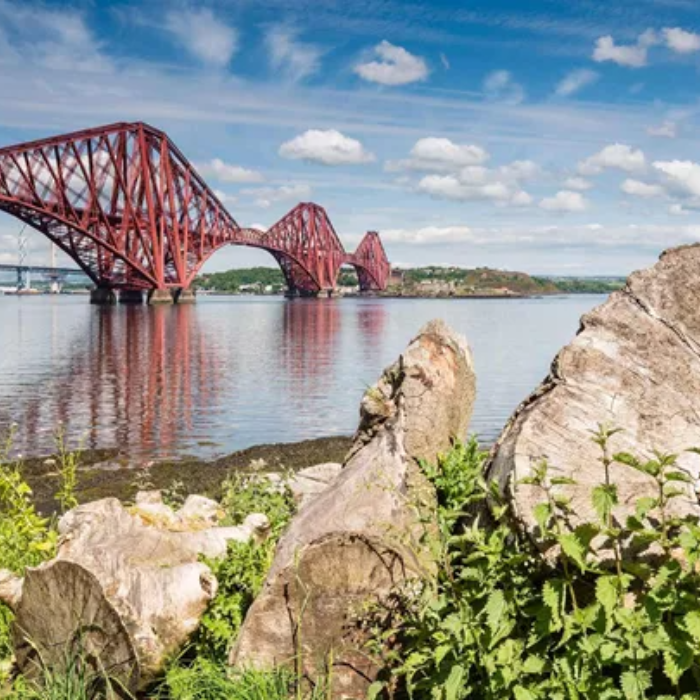 The Sights of Blarney, Waterford, and Wexford