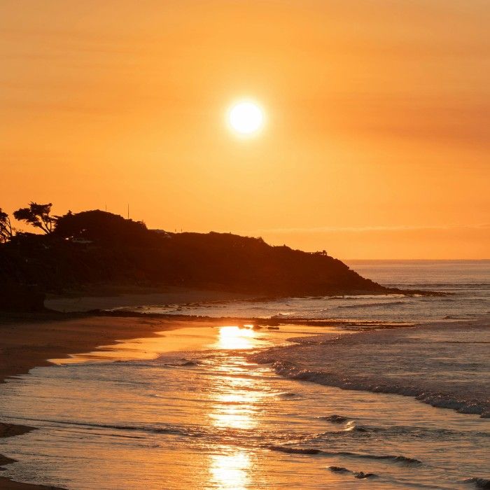 Admire the Colours of Victoria