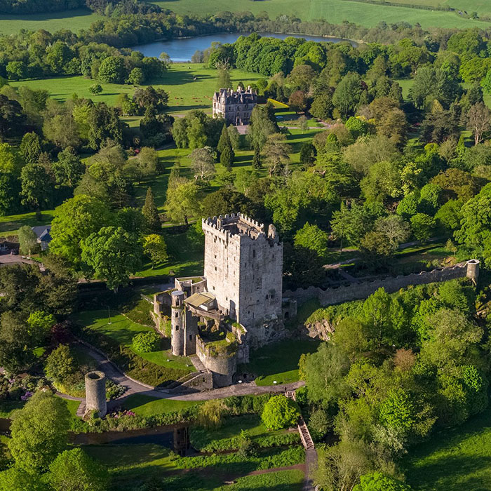 Discover Cashel and return to Dublin