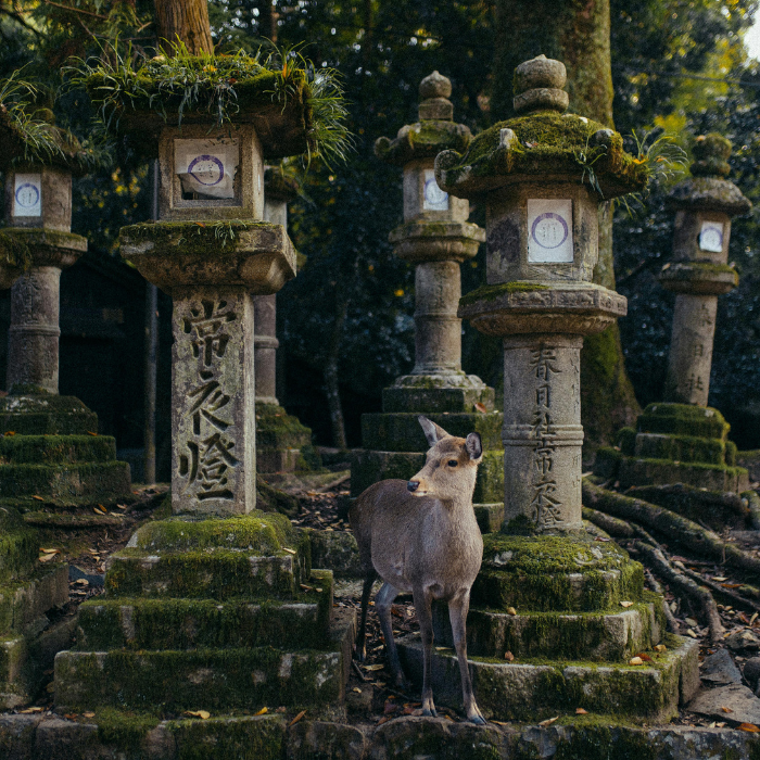 Kanazawa and the Art of Sake