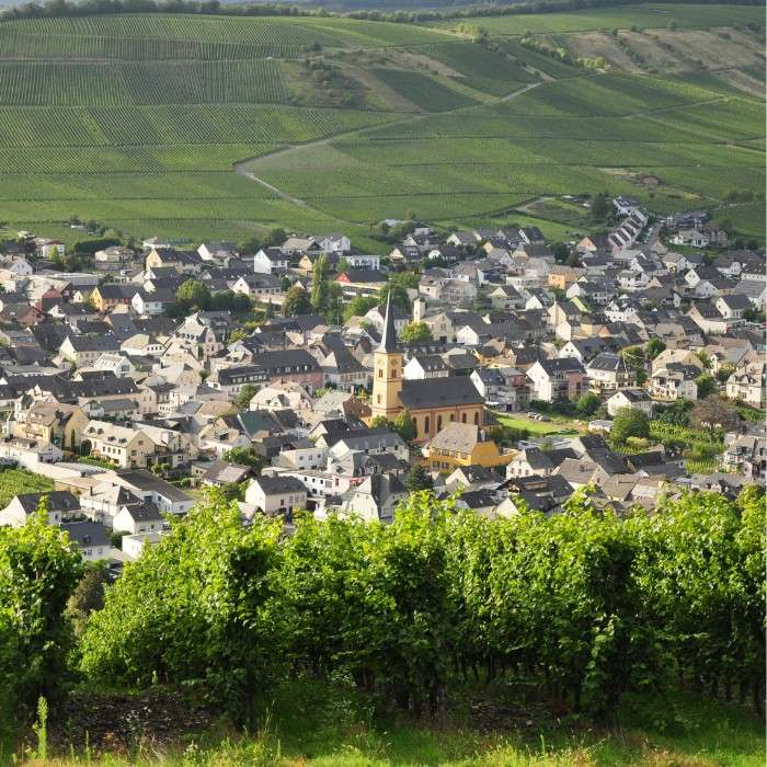 Urban Farming and Picturesque Towns