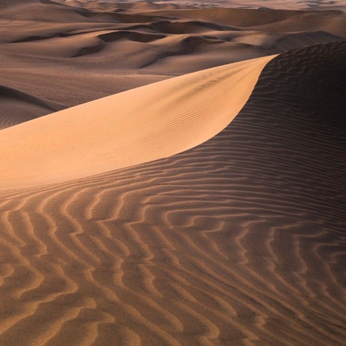 Discover the Great Sand Dunes