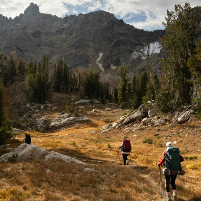 Grand Teton National Park Exploration