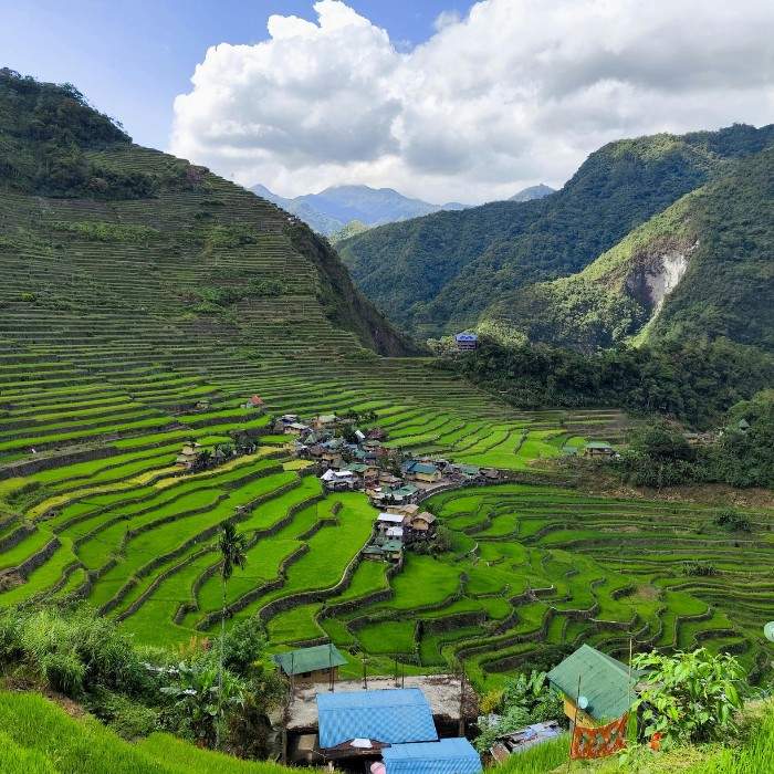 Banaue Rice Terraces and Ifugao Culture