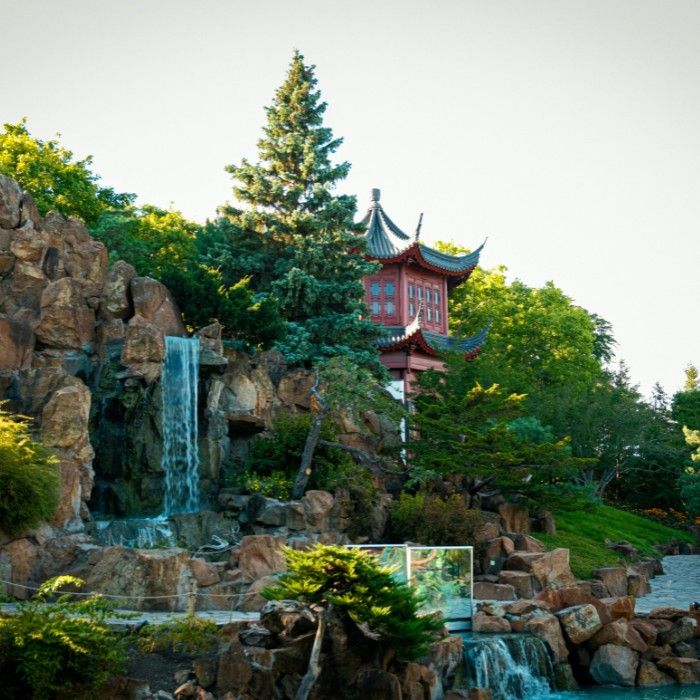 Montréal’s Flavors and Sights