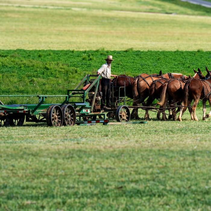 Into the Heart of Amish Country