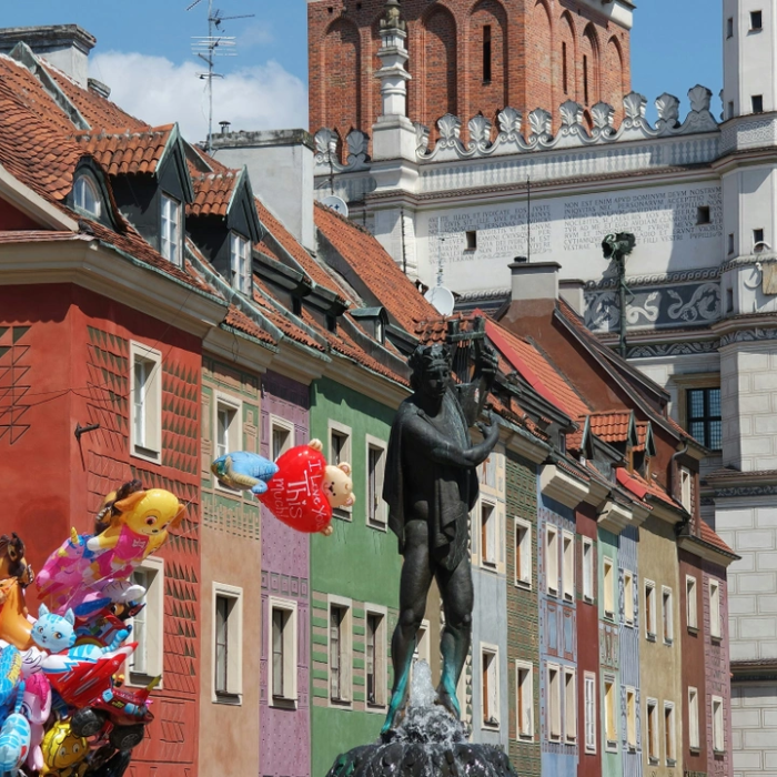 Journey through the Rhine Valley and Scenic Cruise