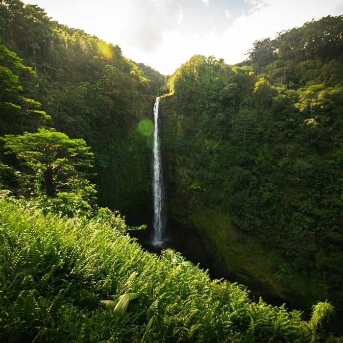 Uncover Hawaii’s History