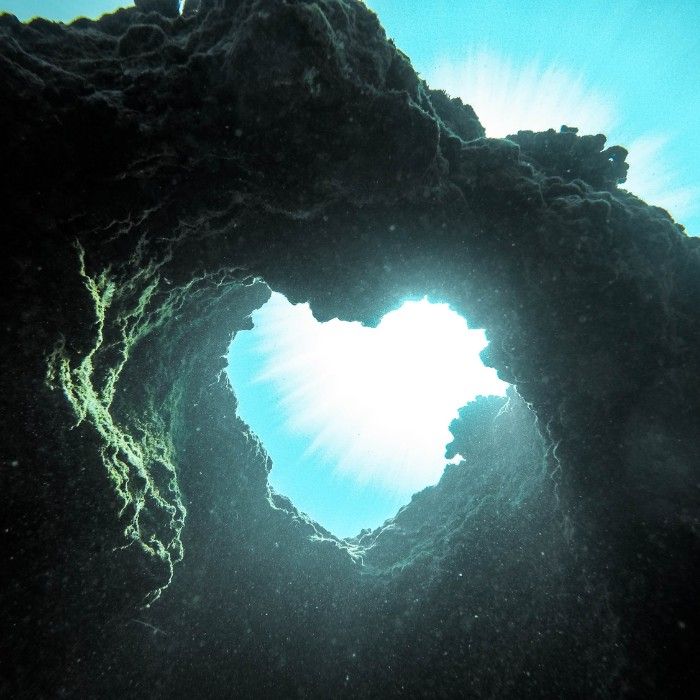 Experience the Sights, Flavors and Wildlife of Hawaii