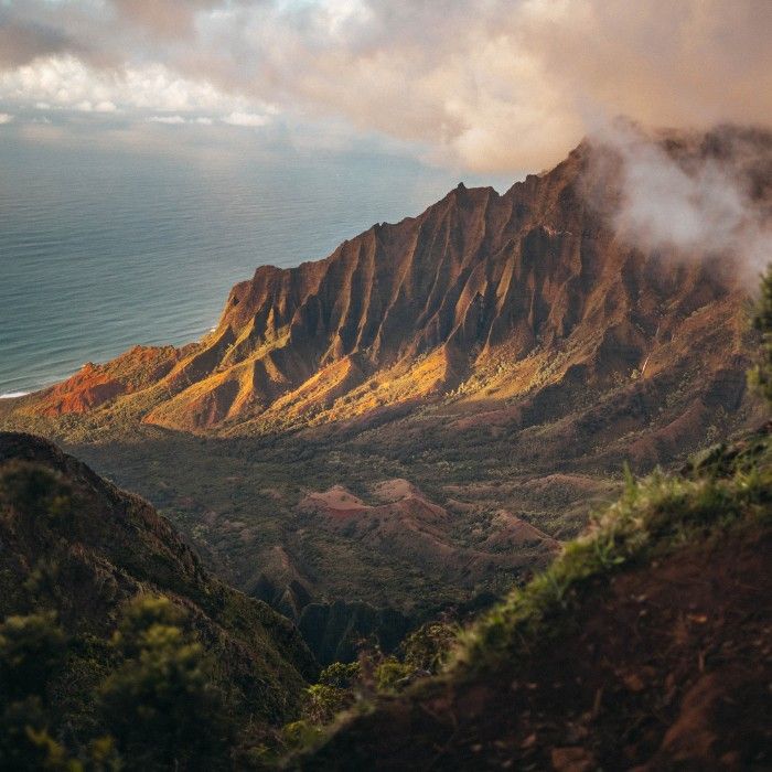 Aloha Kauai