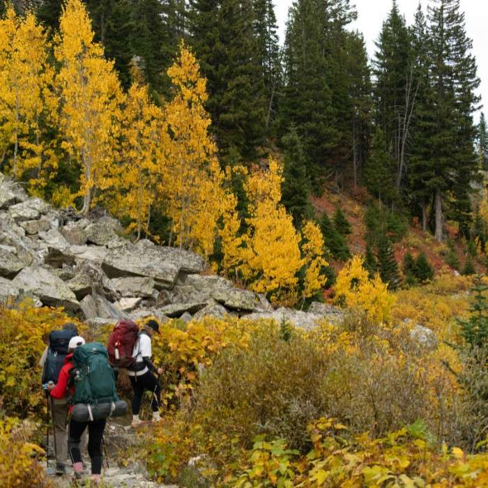 Grand Teton National Park Adventure