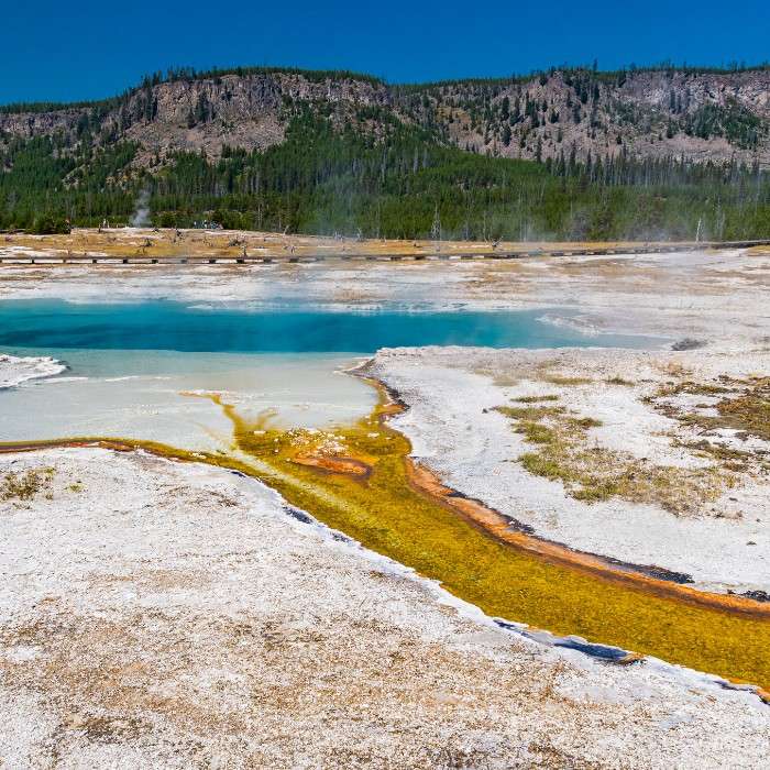 Yellowstone’s Natural Wonders