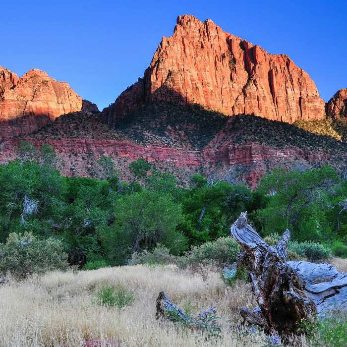 Zion Canyon Scenic Ride