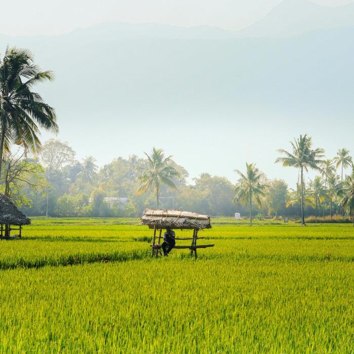 Welcome to Kochi, Gateway to the Backwaters of Kerala