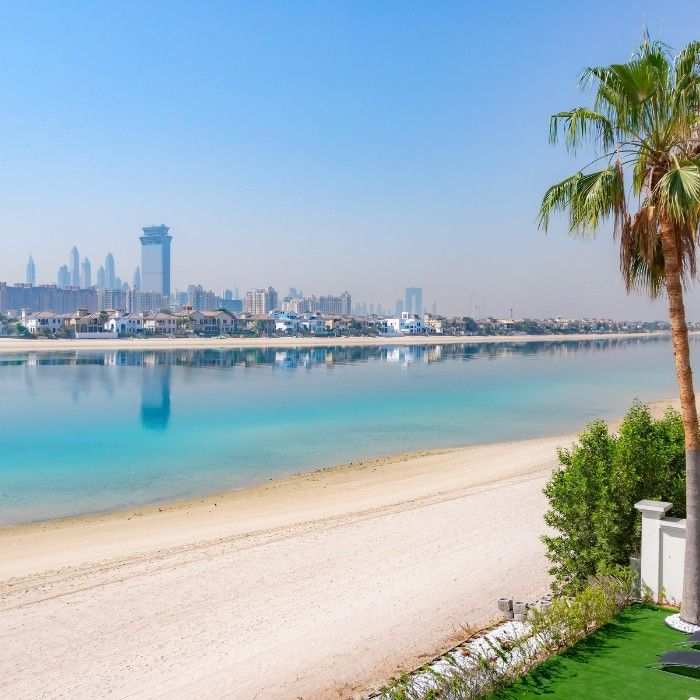 Voyage to Palm Springs