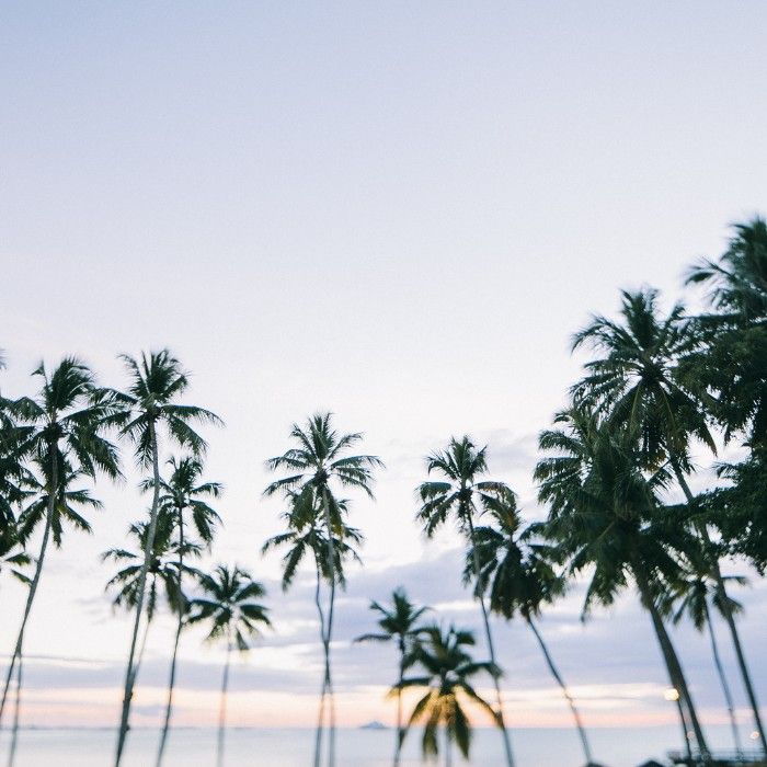 Discover Palm Springs